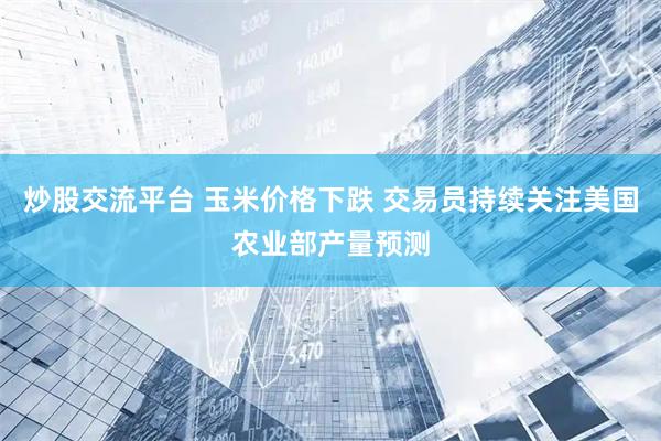 炒股交流平台 玉米价格下跌 交易员持续关注美国农业部产量预测