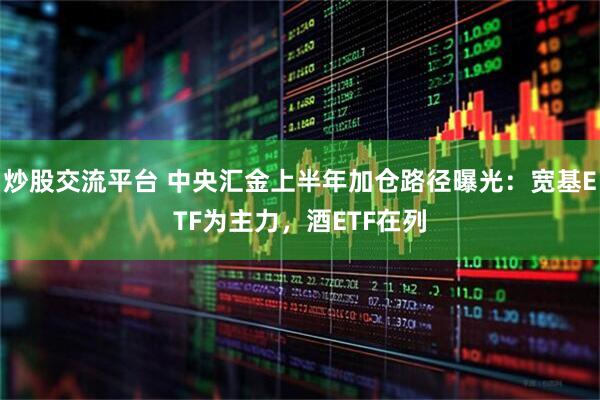 炒股交流平台 中央汇金上半年加仓路径曝光：宽基ETF为主力，酒ETF在列